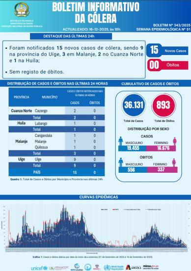 Boletim de Colera 2025 Nº 343